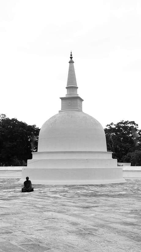 Hambantota Shore Excursion: Village and Cultural tour - Who will enjoy this Hambantota outing most?