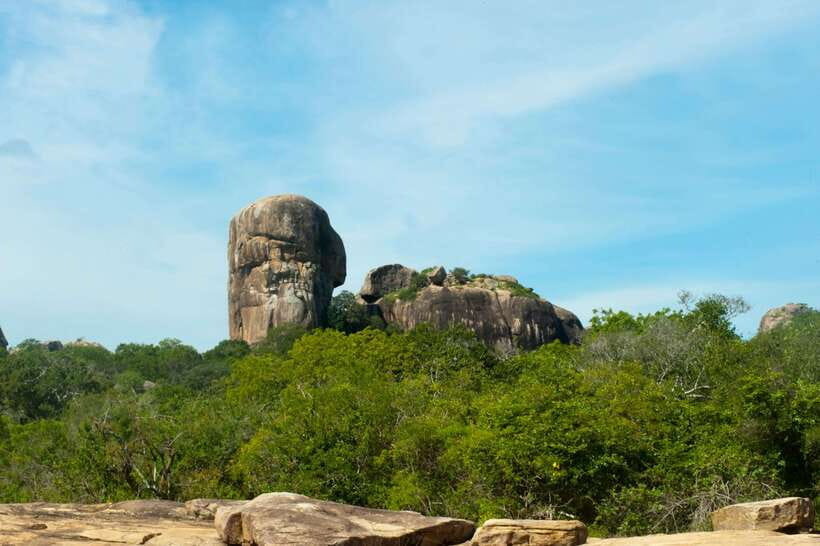 Hambantota Shore Excursion: Village and Cultural tour - Remote villages and a closer look at local life