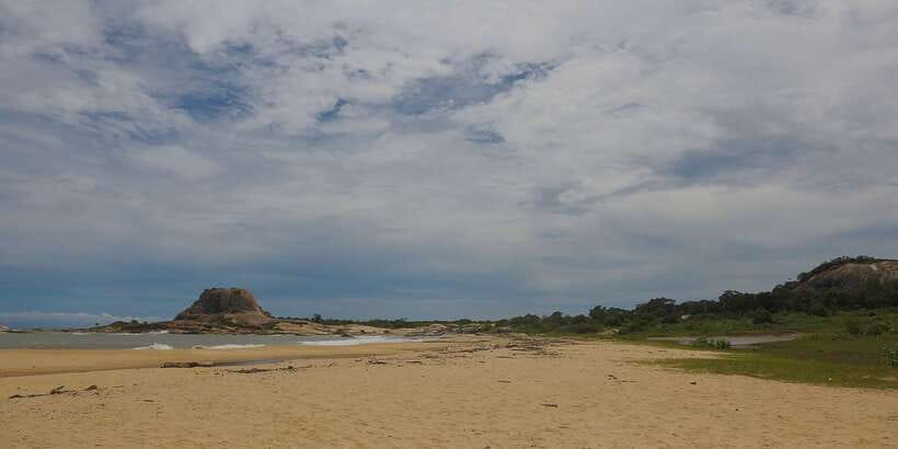 Hambantota: Yala National Park Wildlife Safari in a 4x4 - The value of the $48 price