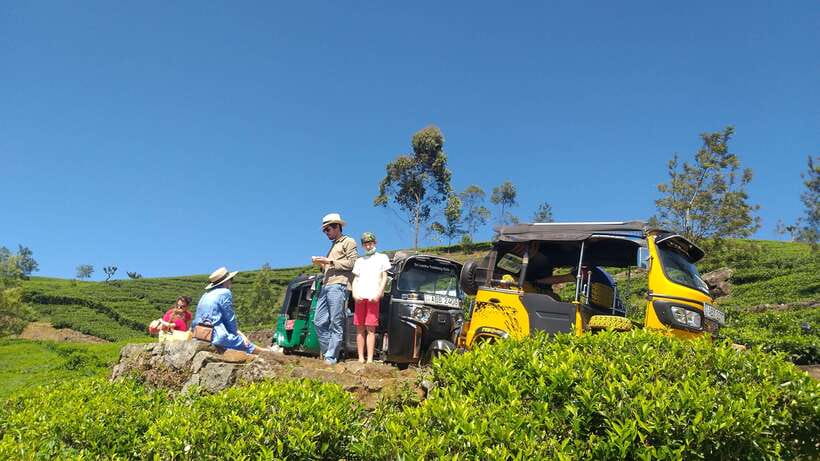 Haputale:Glorious Tuk Tuk Ride to Lipton'sSeat & Tea Factory - A picnic among the tea bushes