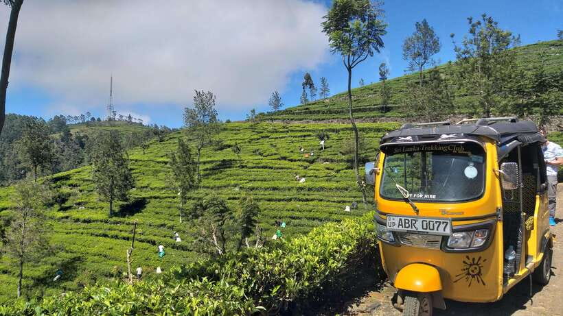 Haputale:Glorious Tuk Tuk Ride to Lipton'sSeat & Tea Factory - Is $35 a good price?