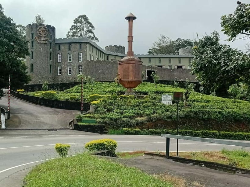 High-Grown Tea & Waterfall Wonders of Nuwara Eliya by tuktuk - Language, timing, and the private group advantage