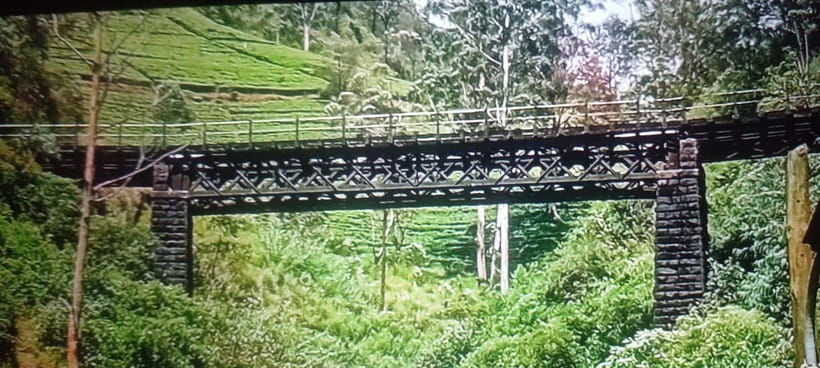 High-Grown Tea & Waterfall Wonders of Nuwara Eliya by tuktuk - Blue Field Tea Factory and a closer look at tea making