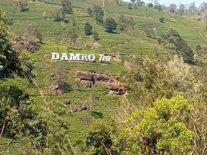 High-Grown Tea & Waterfall Wonders of Nuwara Eliya by tuktuk - Ramboda Falls, swimming, and time beside the water