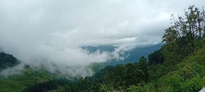 High-Grown Tea & Waterfall Wonders of Nuwara Eliya by tuktuk - What the $30 group price really offers