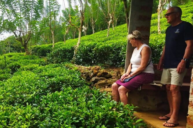 Highlights Colombo Day Tour with Afternoon High Tea in Kingsbury Hotel - What the $52 price means