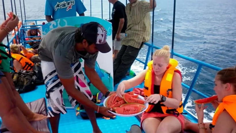 Hikkaduwa/Galle/Ahangama: Whale Watching Tour in Mirissa - Looking for blue whales in the Indian Ocean