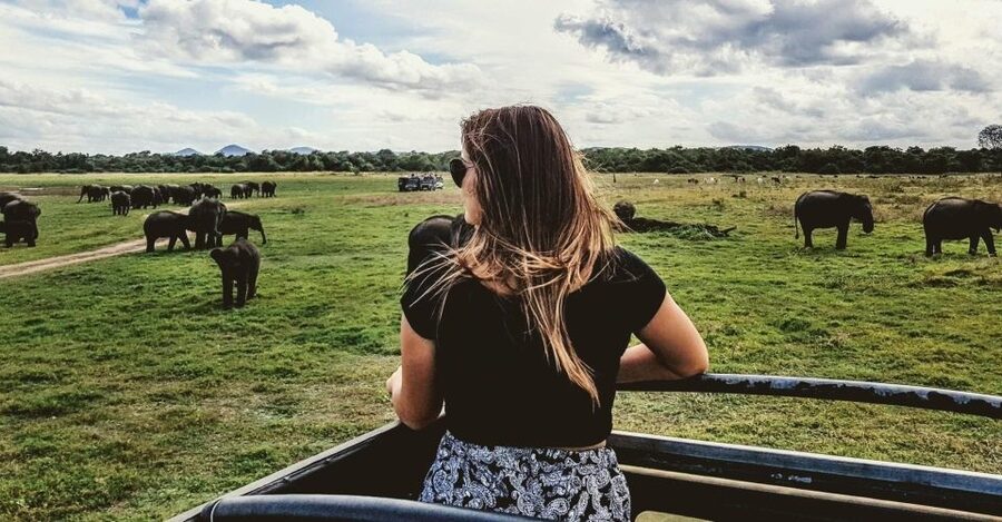 Hikkaduwa/Galle/Weligama/Mirissa/Tangalle: Udawalawa Safari - What you might see beyond elephants