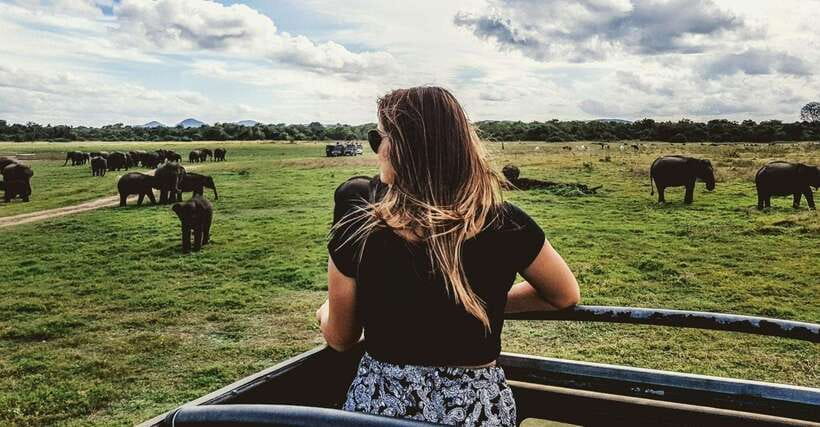 Hikkaduwa/Galle/Weligama/Mirissa/Tangalle: Udawalawa Safari - How good are the guides?