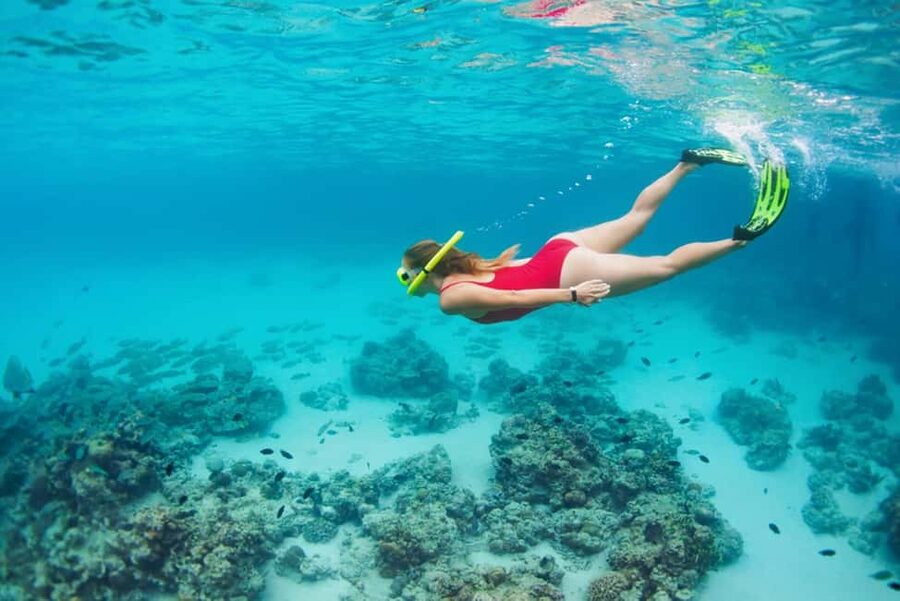 Hikkaduwa Snorkeling Tour: 2 Hours of Underwater Adventure - What the included equipment and facilities mean for you