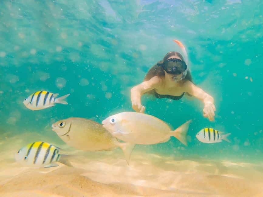 Hikkaduwa Snorkeling Tour: 2 Hours of Underwater Adventure - Is $45 good value for two hours?