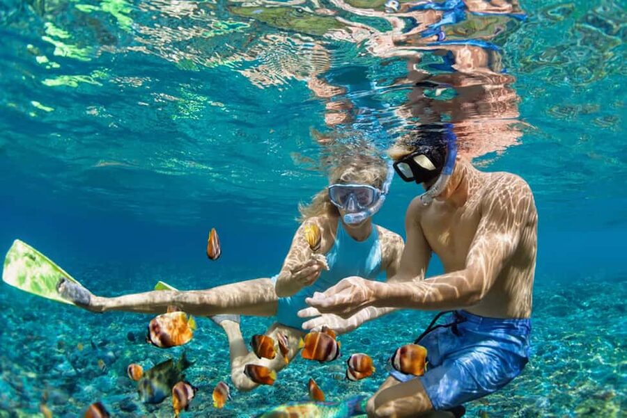 Hikkaduwa Snorkeling Tour: 2 Hours of Underwater Adventure - Who should book this Hikkaduwa experience?
