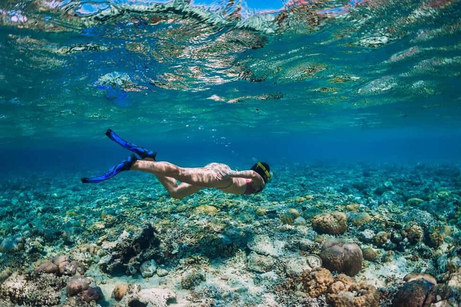 Hikkaduwa Snorkeling Tour: 2 Hours of Underwater Adventure - Practical tips for a smoother session
