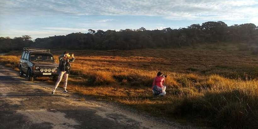 Horton plains: Discover real essence of central highland - The best parts of the day at a glance