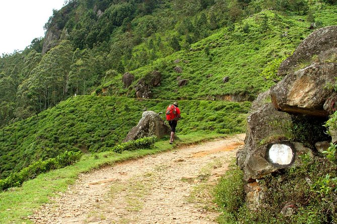 Horton Plains National Park Tour With Scenic Train Ride - The walk to World’s End and Baker Falls