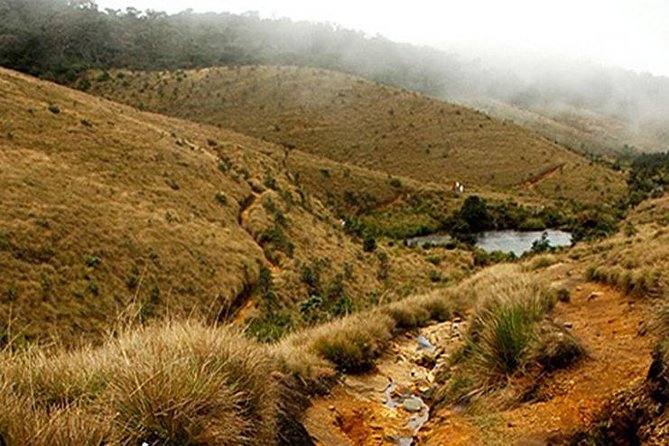 Horton Plains-World's End Tour From Nuwaraeliya - Key points to know before booking