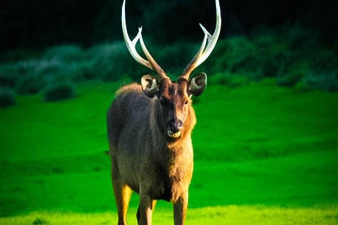 Horton Plains-World's End Tour From Nuwaraeliya - Weather, clothing, and the real level of effort
