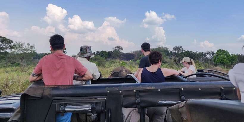 Hurulu Eco Park: 3-Hour Morning or Evening Safari - Price, park fees, and what you actually receive