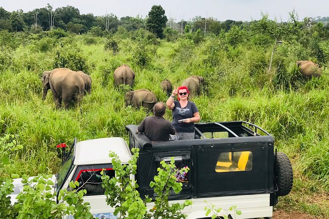 Hurulu Eco Park Half Day Safari - Why Minneriya makes sense from Habarana