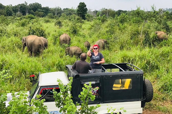 Hurulu Eco Park Half Day Safari - The afternoon drive through Minneriya National Park