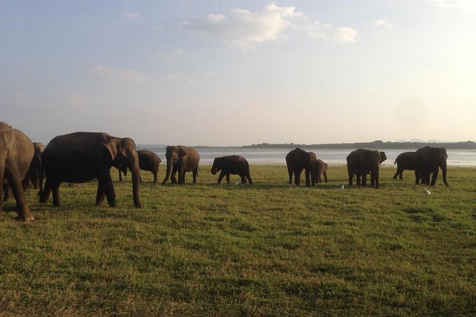 Hurulu eco park jeep safari - The three-hour ride through the reserve