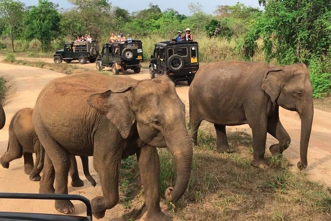 Hurulu Eco Park Private Safari - Who will enjoy this safari most