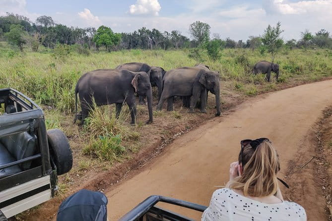 Hurulu Eco Park Private Safari with Naturalist - Who will enjoy this safari most