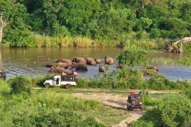 Hurulu Eco Park Safari Adventure - Why Hurulu Eco Park works as a short safari
