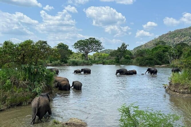 Hurulu Eco Park Safari Adventure - Who will enjoy this safari most