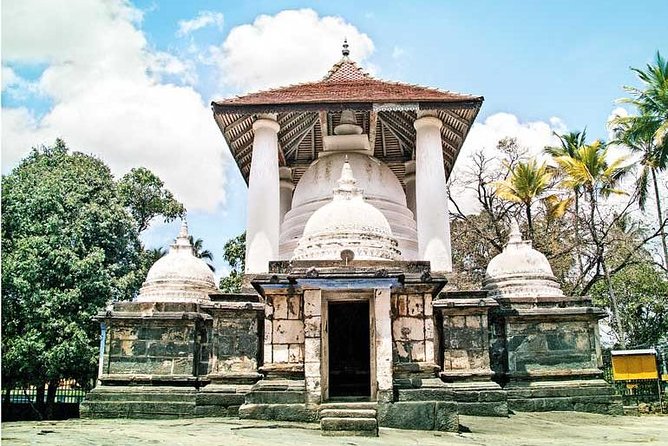 I Day Kandy Heritage Culture Tour - A short forest walk in Udawattekele Sanctuary