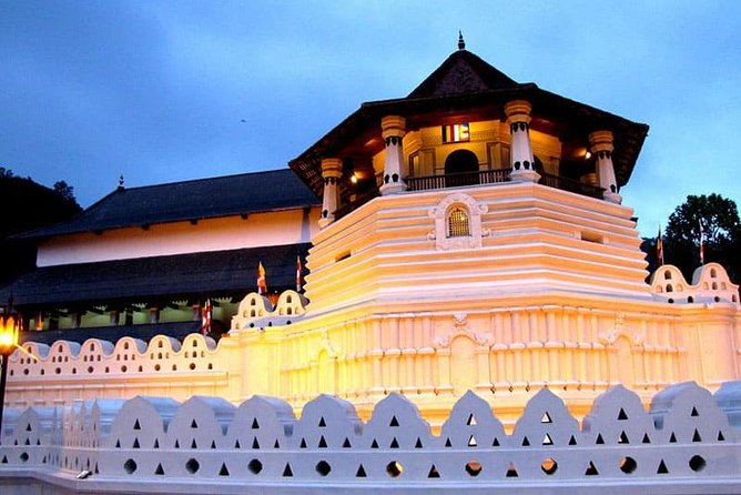 I Day Kandy Heritage Culture Tour - Seeing tea made at Geragama Estate Road