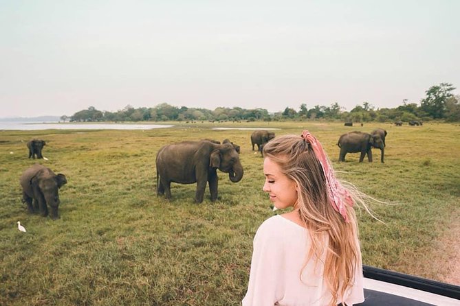 Instagramble Sri Lanka - 7 Days - Day 5: Horton Plains and the road to Ella