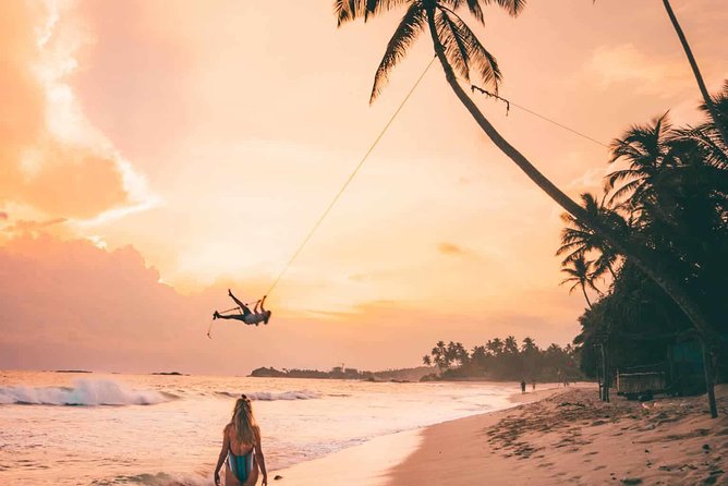 Instagramble Sri Lanka - 7 Days - Day 7: Whales, mangroves, turtles, and the airport