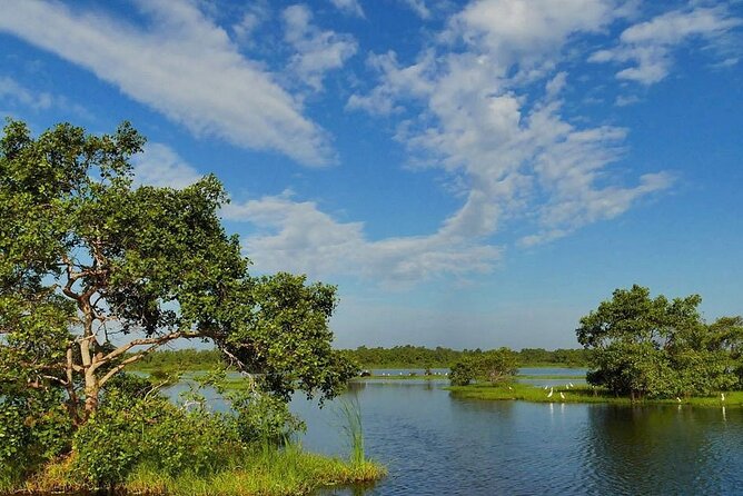 Kalametiya Bird Sanctuary Catamaran Bird Watching Tour - Why Kalametiya works well for a short birding trip