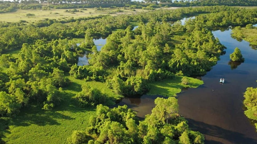 Kalametiya Sanctuary: Bird Watching by Private Boat Tour - The value of $25 per person