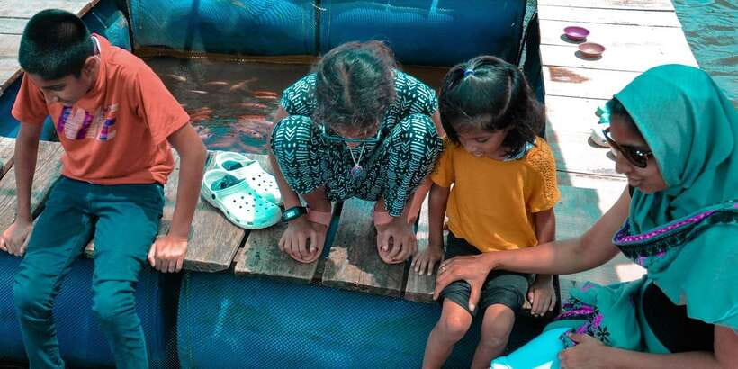 Kalutara: Turtle Hatchery Visit, Boat Safari, and Galle Tour - What the $90 price really covers