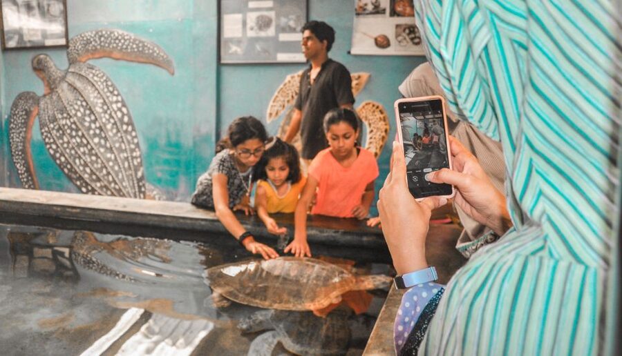 Kalutara: Turtle Hatchery Visit, Boat Safari, and Galle Tour - Timing, comfort, and who should take it