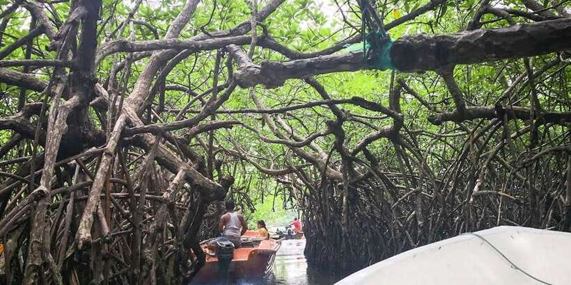 Kalutara: Turtle Hatchery Visit, Boat Safari, and Galle Tour - Should you book this southern Sri Lanka day trip?