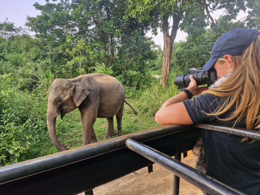 Kandy: 4-Day Sri Lanka Full Circle Private Tour To Colombo - A fast route for people short on time