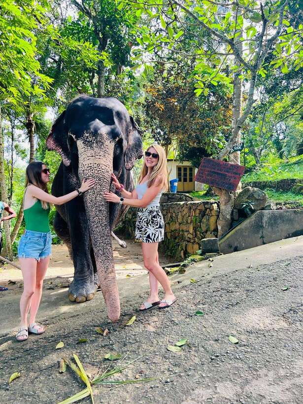 Kandy City Day Tour from Colombo, Negombo or Katunayake - Gemstone displays and buying advice