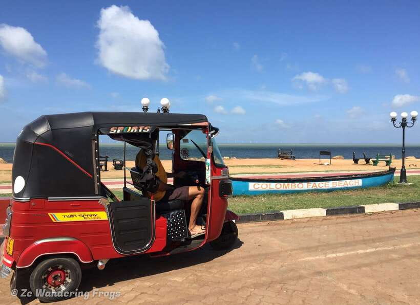 Kandy City Explore Full Day Tour , Like a Local - Key points to know before booking