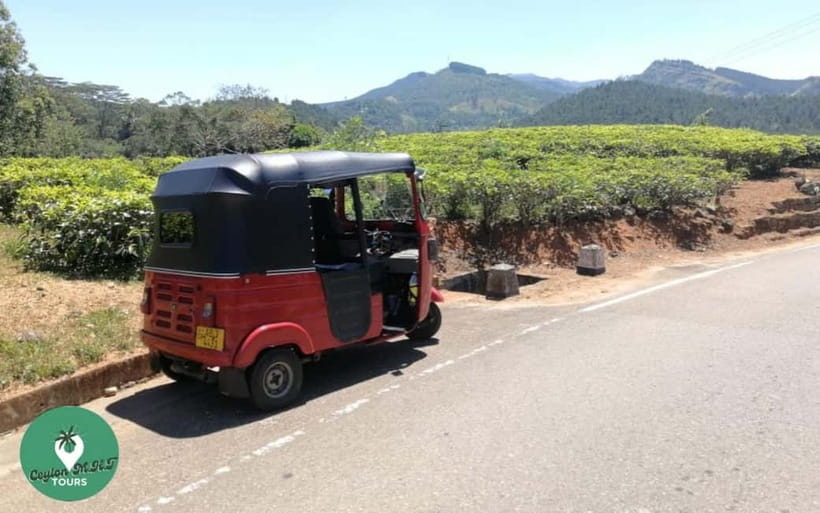 Kandy: City Explore with Local guide By Mini Van - Key Points Before You Book