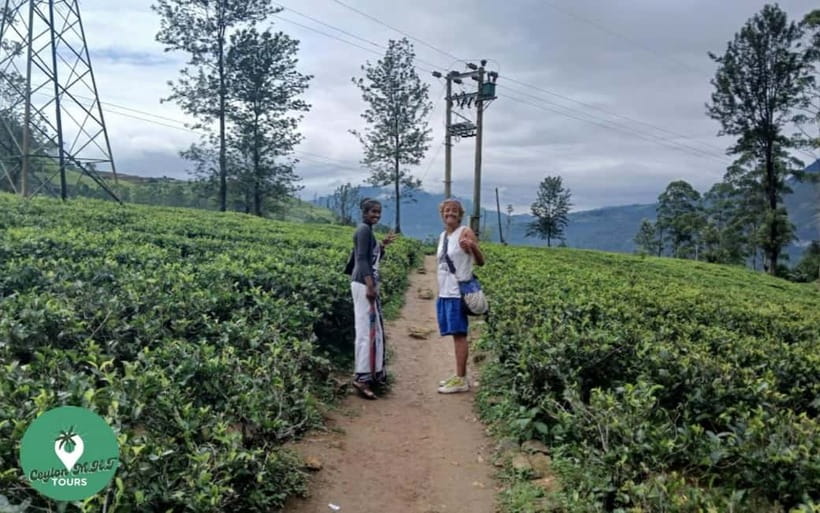 Kandy: City Explore with Local guide By Mini Van - Tuk-Tuk Comfort, Timing, and Flexibility