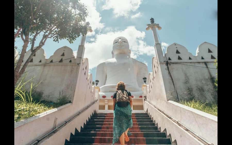 Kandy: City Explore with Local Guide By Tuk Tuk - The Temple of the Tooth and its service times