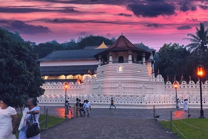 Kandy City guide Tour and day trip private luxury car and van - Why private transport matters in Kandy