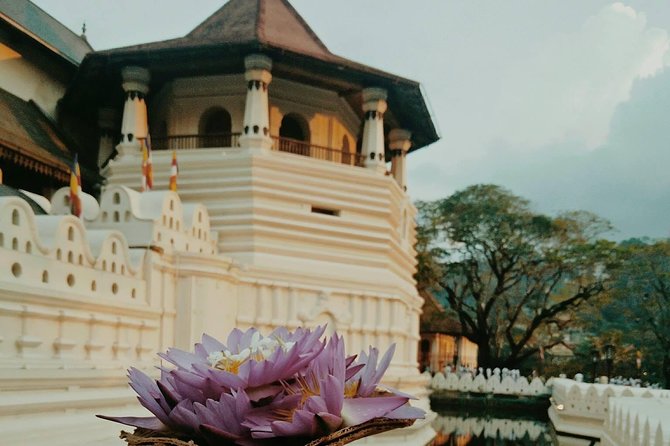 Kandy City guide Tour and day trip private luxury car and van - Kadugannawa and the Ceylon tea factory