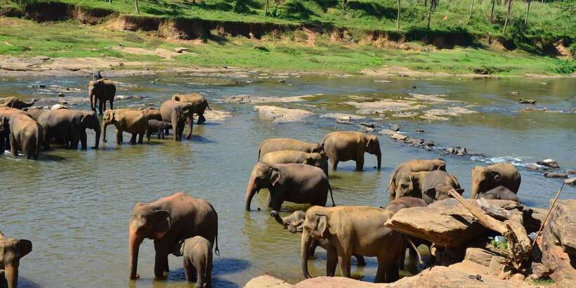 Kandy: City Highlights and Ramboda Waterfall Trip - Key points to know before booking