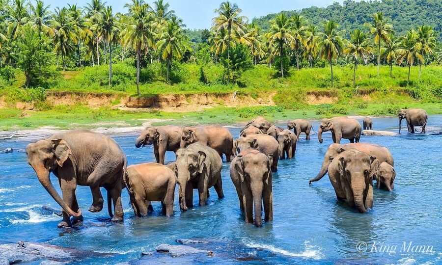Kandy: City Highlights and Ramboda Waterfall Trip - The Kandyan Culture Show