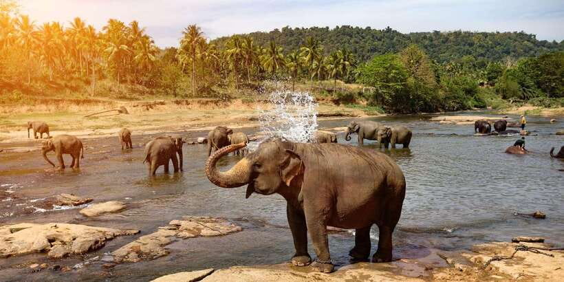 Kandy: City Highlights and Ramboda Waterfall Trip - Why this Kandy and Ramboda route works