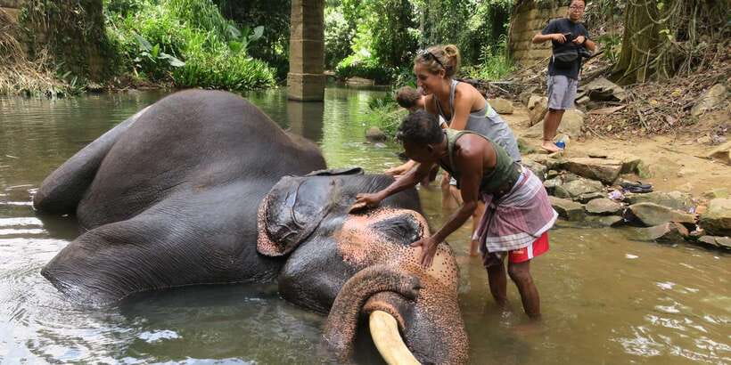 Kandy: City Highlights and Ramboda Waterfall Trip - Asgiriya Stupa and Kandy’s religious character